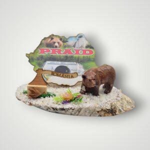 ORNAMENT CU HARTA - PRAID