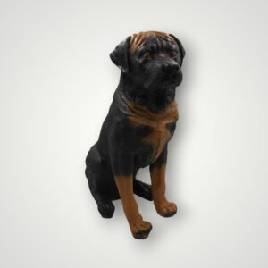 CAINE