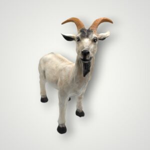 CAPRA