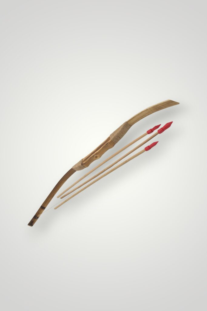 ARC LEMN