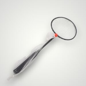 PALETE BADMINTON