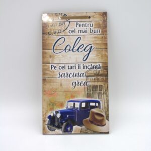 APLICE LEMN - COLEG