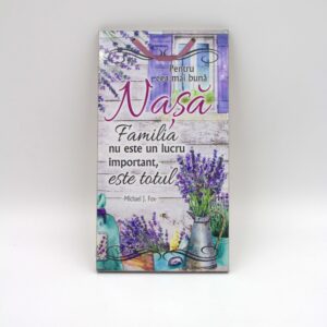 APLICE LEMN - NASA