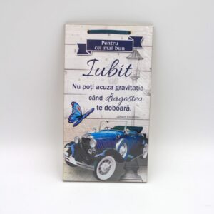 APLICE LEMN - IUBIT