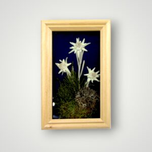 TABLOU FLOARE DE COLT
