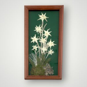 TABLOU FLOARE DE COLT