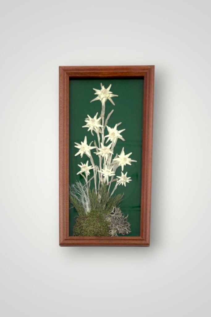 TABLOU FLOARE DE COLT