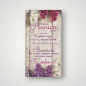 MAGNET - PENTRU BUNICA MEA