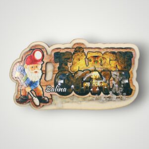 MAGNET LEMN - SALINA TÂRGU OCNA