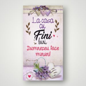 APLICE LEMN - LA CASA CU FINI BUNI