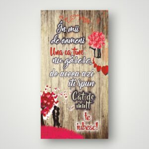 APLICE LEMN - IN MII DE OAMENI