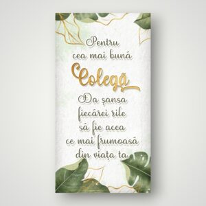 APLICE LEMN - PENTRU CEA MAI BUNA COLEGA