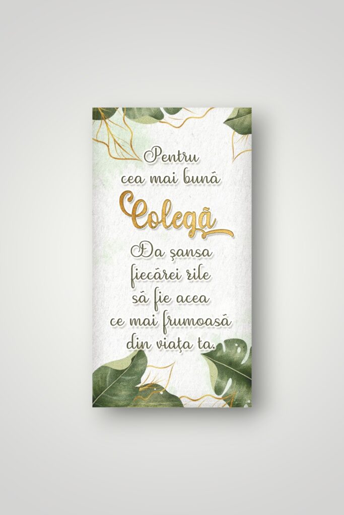 APLICE LEMN - PENTRU CEA MAI BUNA COLEGA