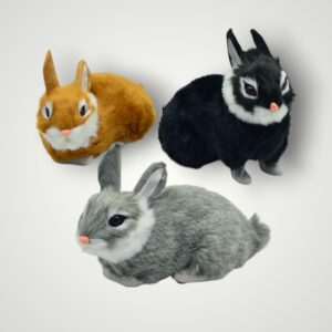 ANIMALE CU BLANA - IEPURASI