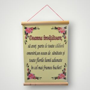 APLICE - DOAMNA INVATATOARE