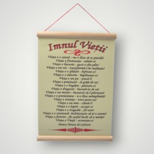APLICE - IMNUL VIETII