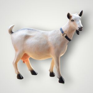 CAPRA