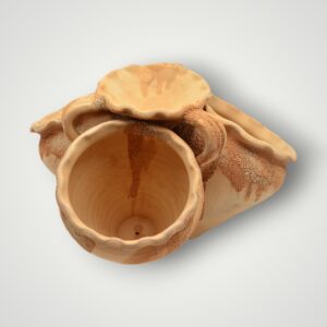 GHIVECI DE FLORI