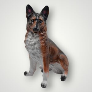 CAINE