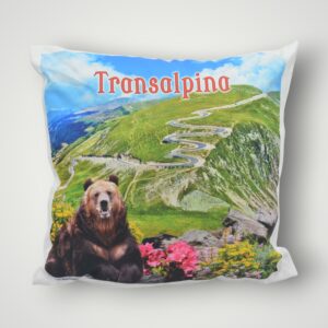 PERNA TRANSALPINA