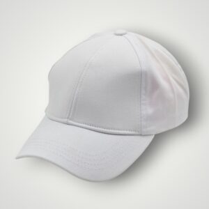 SEPCI BASEBALL - ALB