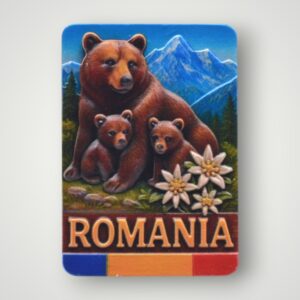 MAGNET CERAMIC - ROMANIA